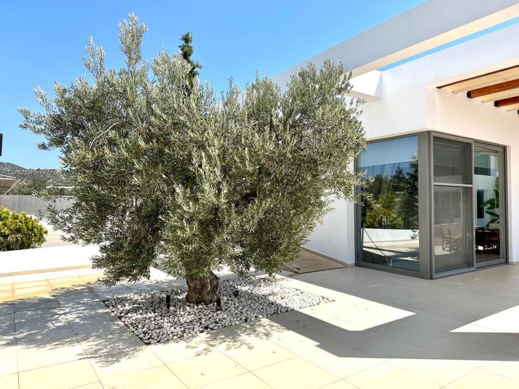 Leblanc Luxurious Beachfront Villa, Gcollectiongr Ermioni Luaran gambar